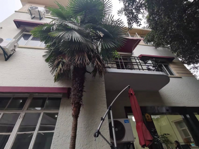 淮海中路獨(dú)棟花園洋房,主副樓結(jié)構(gòu),掛牌保護(hù)建筑,上海音樂(lè)學(xué)院旁